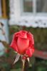 IMG_8946.jpg