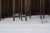 testdrive1102_67.jpg