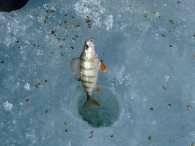 �������, ����� ���������� � ������ ������