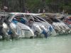 IMG_2083.JPG