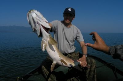 �������, ����� ���������� � ������ ������