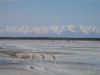 P1010020_.jpg
