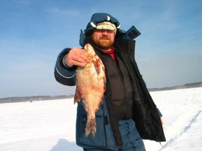 �������, ����� ���������� � ������ ������