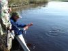 DSC01388_00.JPG