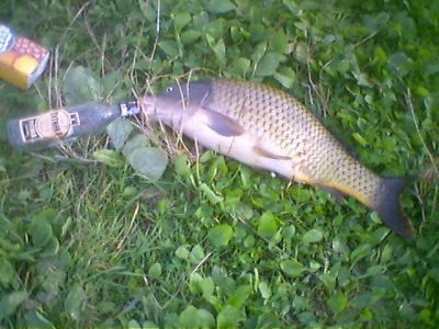 �������, ����� ���������� � ������ ������