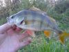 DSC02418.JPG
