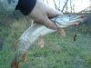 DSC02544.JPG