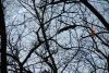 Файл: DSC_0614.jpg
Объем: 191КБ
Размеры: 800x536
Дата: Окт 15, 2012 DSC_0614.jpg