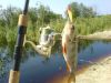Файл: Rapala Husky Jerk.jpg
Объем: 113КБ
Размеры: 640x480
Дата: Июль 12, 2007 Rapala Husky Jerk.jpg