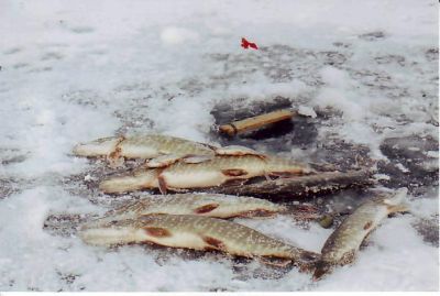 �������, ����� ���������� � ������ ������