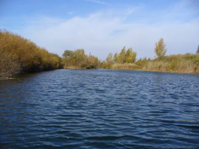 �������, ����� ���������� � ������ ������