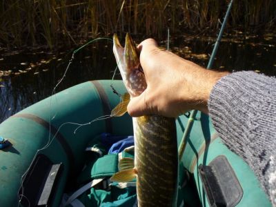 �������, ����� ���������� � ������ ������