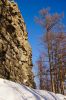 DSC01000_ .jpg