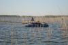 DSC01235.JPG