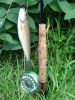 Файл: fishing2005-02.jpg
Объем: 108КБ
Размеры: 480x640
Дата: Март 28, 2006 fishing2005-02.jpg