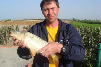 �������, ����� ���������� � ������ ������