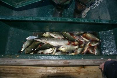 �������, ����� ���������� � ������ ������