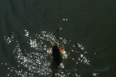 �������, ����� ���������� � ������ ������