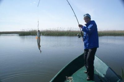 �������, ����� ���������� � ������ ������