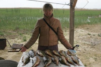 �������, ����� ���������� � ������ ������