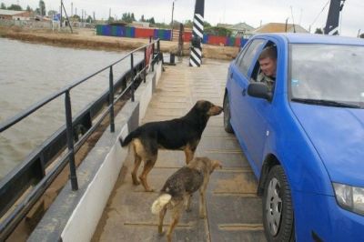 �������, ����� ���������� � ������ ������