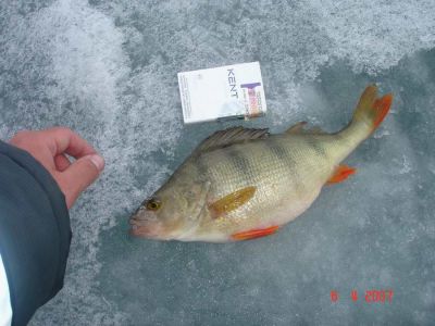 �������, ����� ���������� � ������ ������