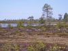 Image00006.jpg