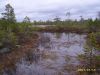 Image00040.jpg