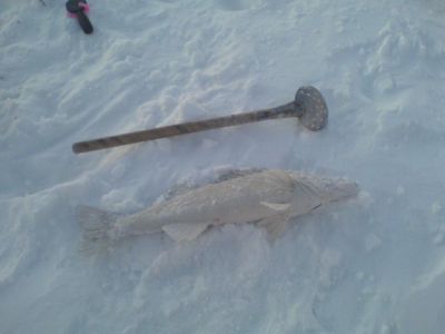 �������, ����� ���������� � ������ ������