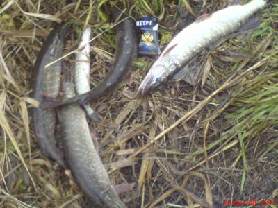 �������, ����� ���������� � ������ ������