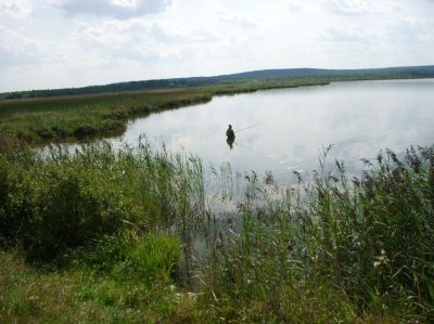 �������, ����� ���������� � ������ ������