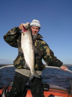 �������, ����� ���������� � ������ ������