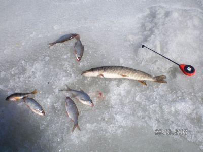 �������, ����� ���������� � ������ ������