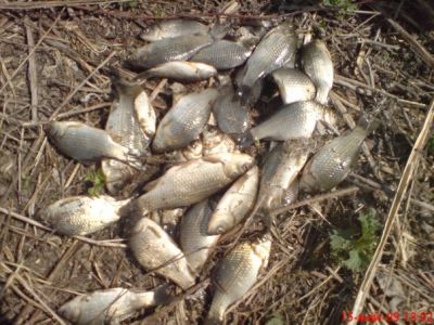 �������, ����� ���������� � ������ ������