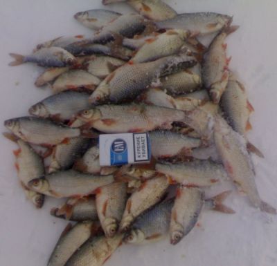 �������, ����� ���������� � ������ ������