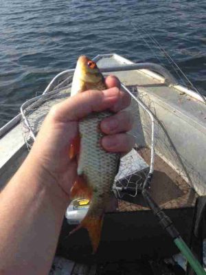 �������, ����� ���������� � ������ ������