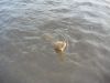 DSC00110.JPG