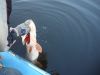 DSC00359.JPG