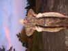 DSC00579.JPG