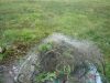 DSC03005.JPG