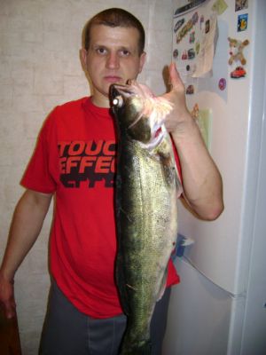 �������, ����� ���������� � ������ ������