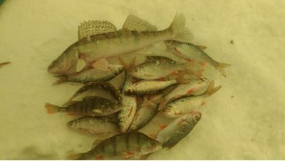 �������, ����� ���������� � ������ ������