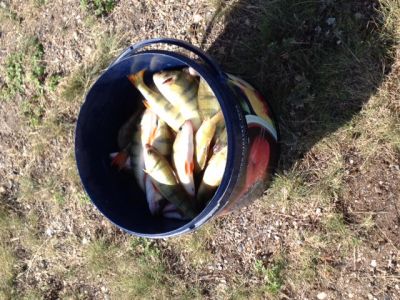 �������, ����� ���������� � ������ ������