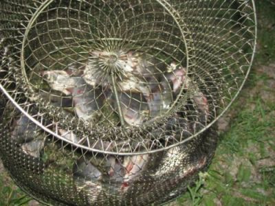 �������, ����� ���������� � ������ ������