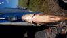 DSC_0175 - .jpg