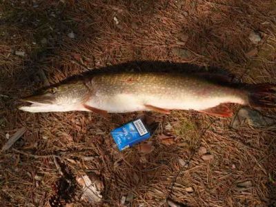 �������, ����� ���������� � ������ ������