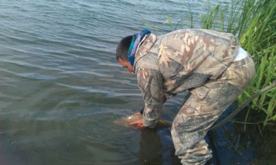 �������, ����� ���������� � ������ ������