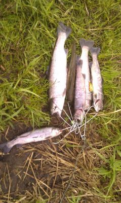 �������, ����� ���������� � ������ ������