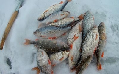 �������, ����� ���������� � ������ ������