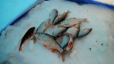 �������, ����� ���������� � ������ ������